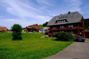 Гостиница Hotel Sonnenmatte nahe Badeparadies Schwarzwald  Титизее-Нойштадт